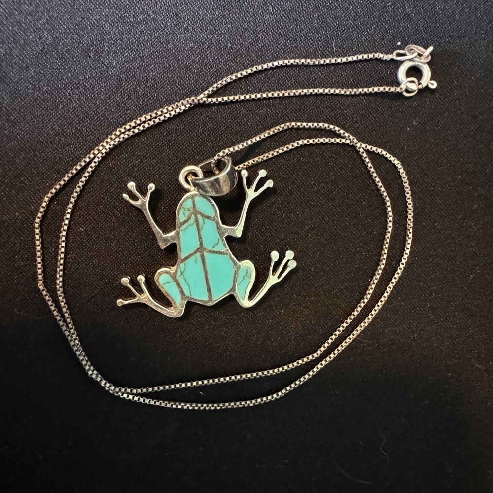 Silver and Turquoise Frog Pendant Necklace